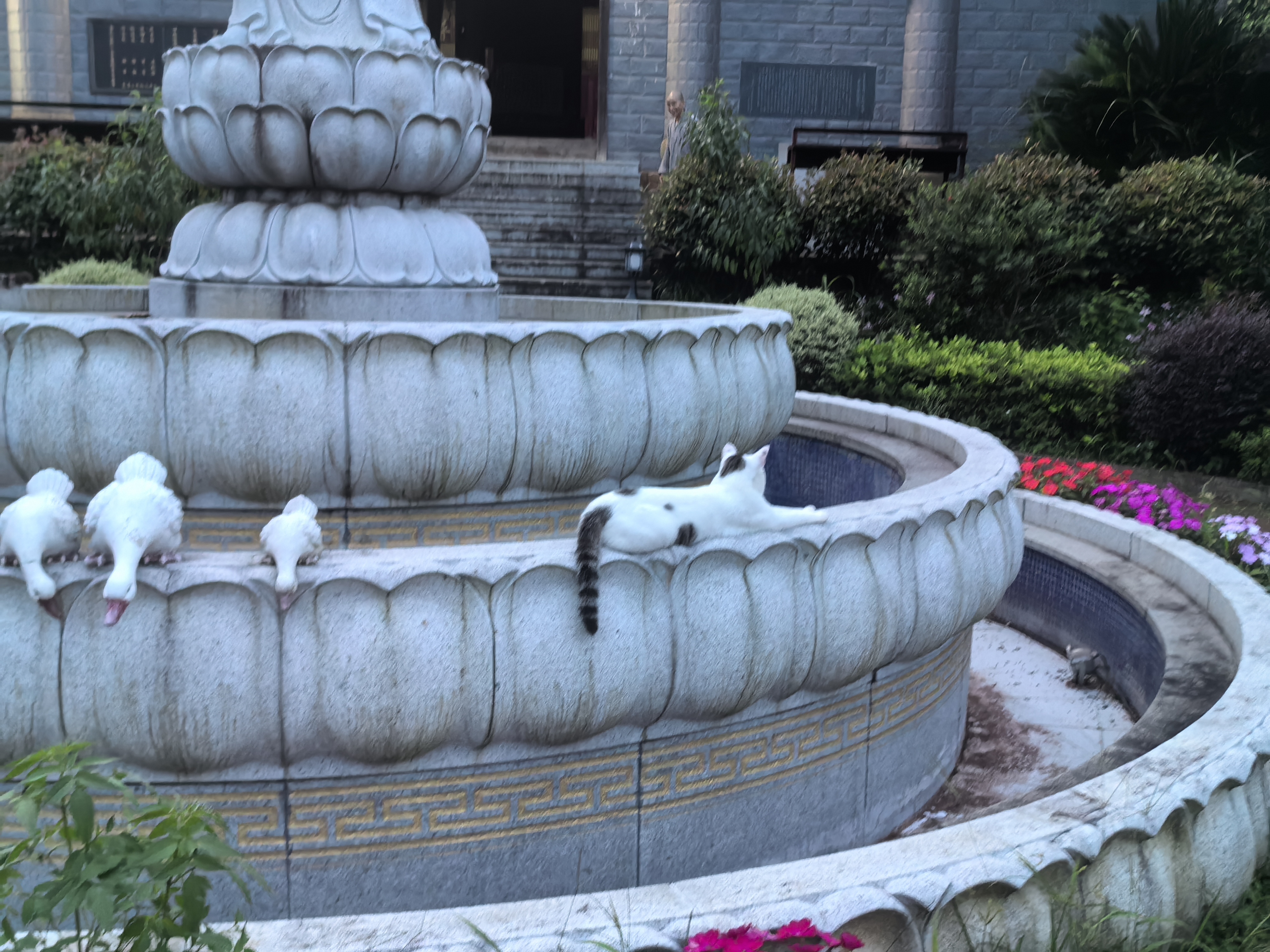 内观中心的禅堂，一束光透过窗户洒在静坐的垫子上