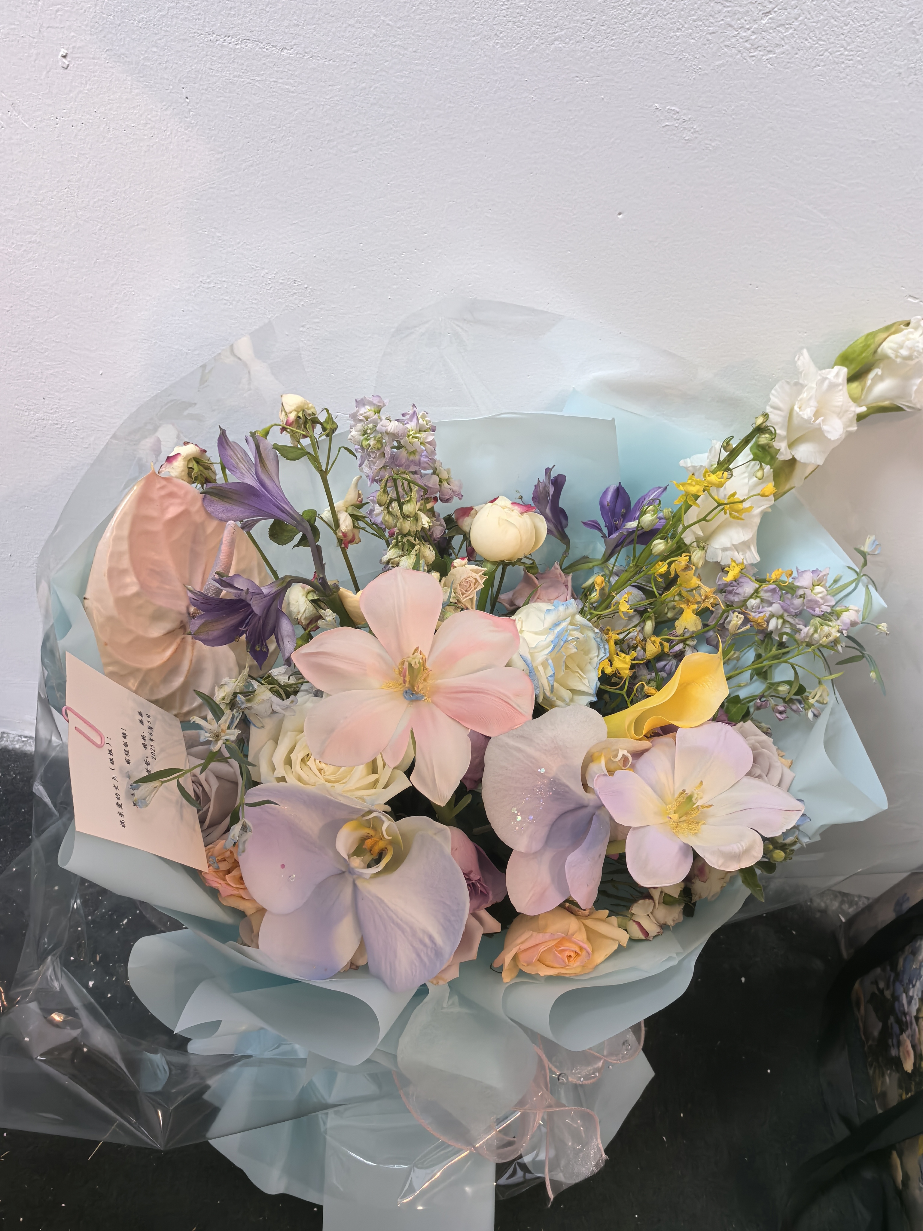 毕业设计展花卉作品