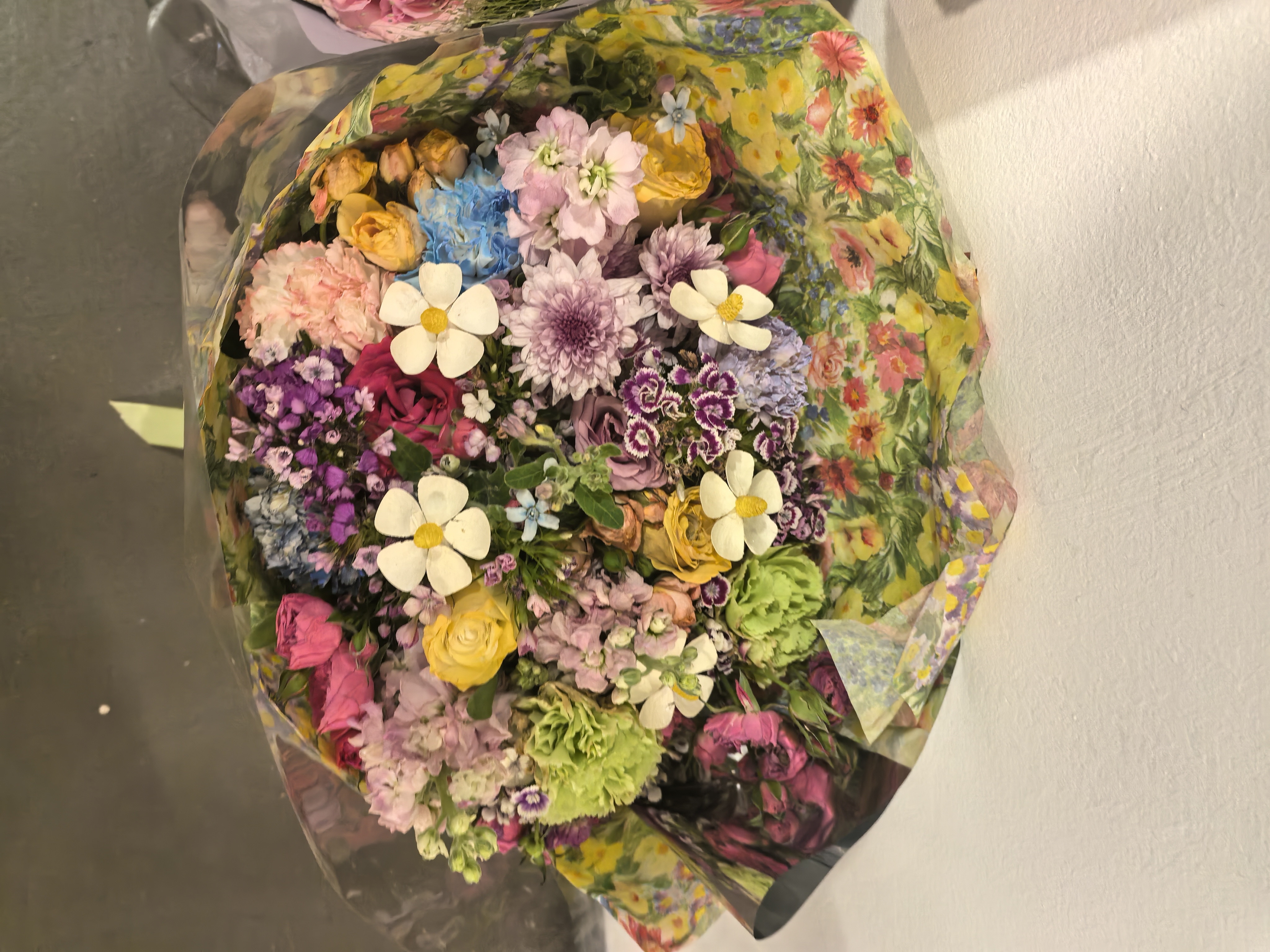 毕业设计展花卉作品