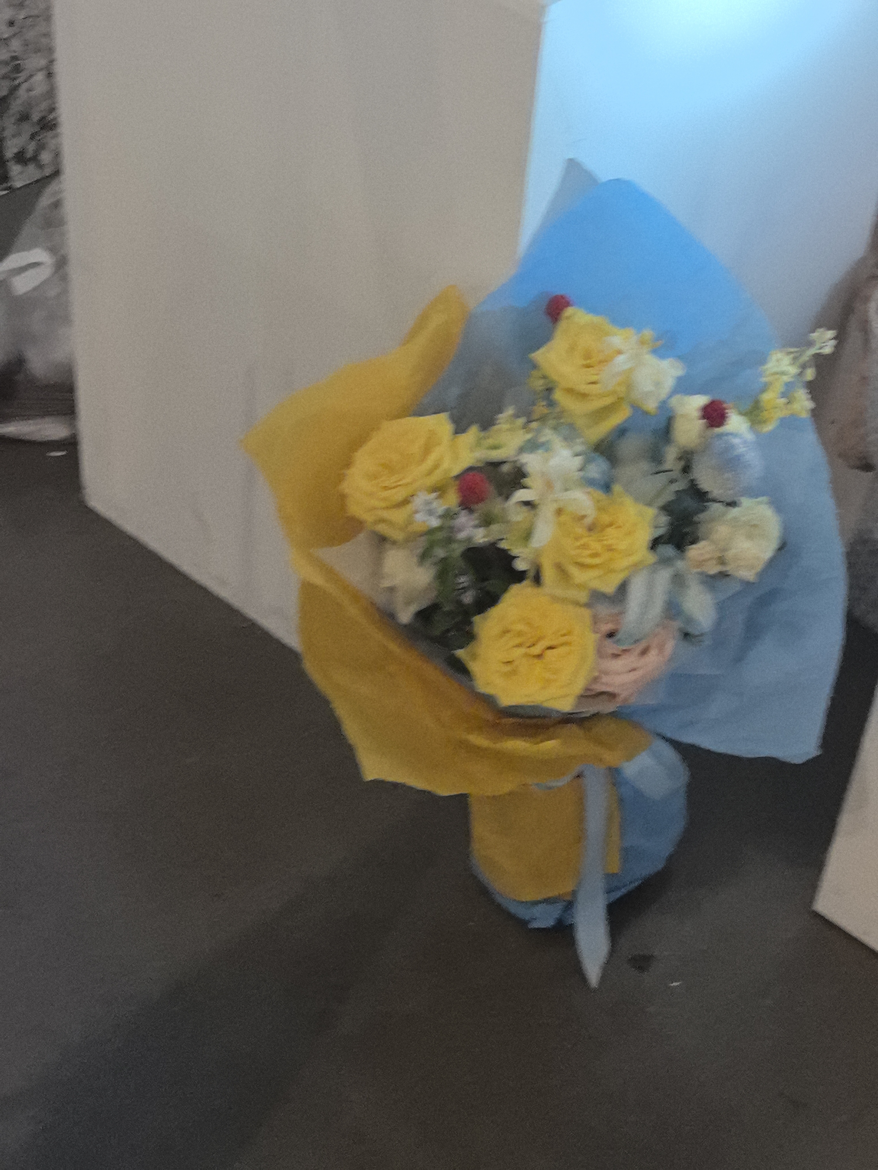 毕业设计展花卉作品