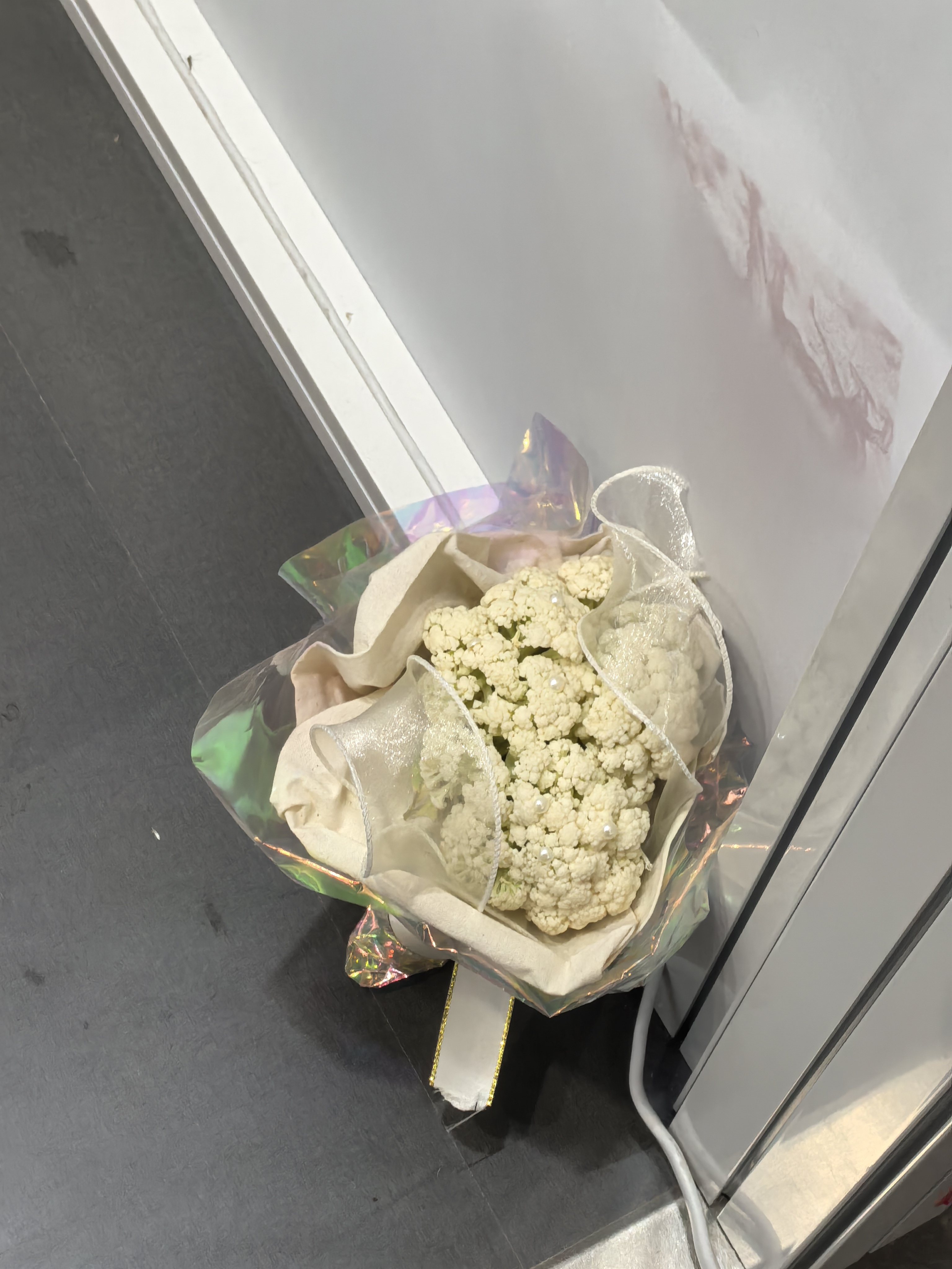 毕业设计展花卉作品